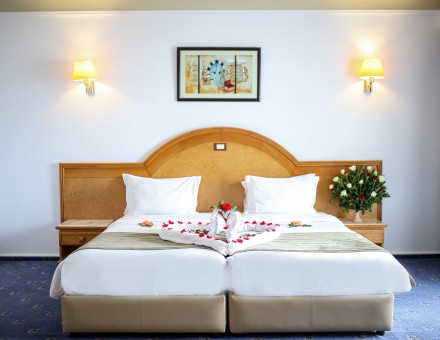 Chambre Double ou Lits Jumeaux